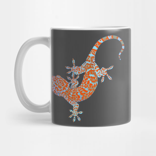 Tokay Gecko by ziafrazier